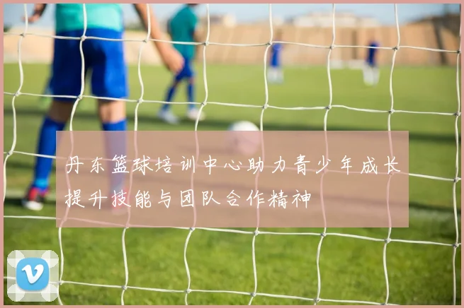 丹东篮球培训中心助力青少年成长提升技能与团队合作精神