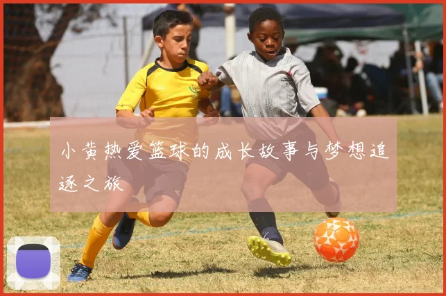 小黄热爱篮球的成长故事与梦想追逐之旅