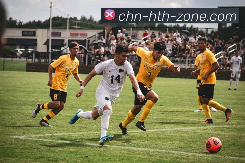 华体会品牌故事